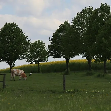 Ferienhaeuser Seeblick * Langenhagen (Ludwigslust-Parchim)