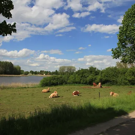 Ferienhaeuser Seeblick Langenhagen (Ludwigslust-Parchim)