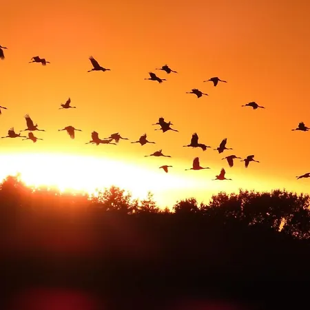 Ferienhaeuser Seeblick Nyaraló