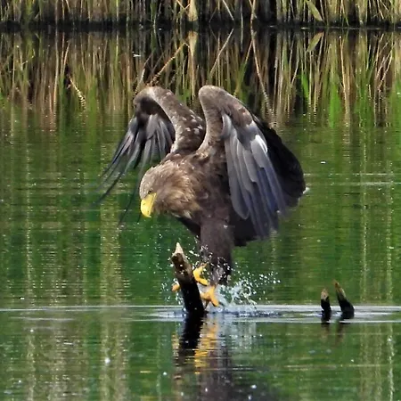 Ferienhaeuser Seeblick *