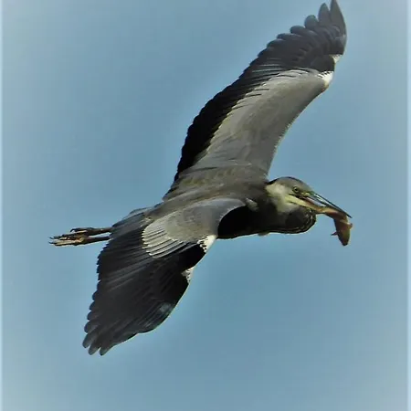 Nyaraló Ferienhaeuser Seeblick Langenhagen (Ludwigslust-Parchim)