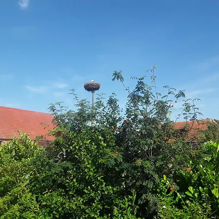 Nyaraló Ferienhaeuser Seeblick *